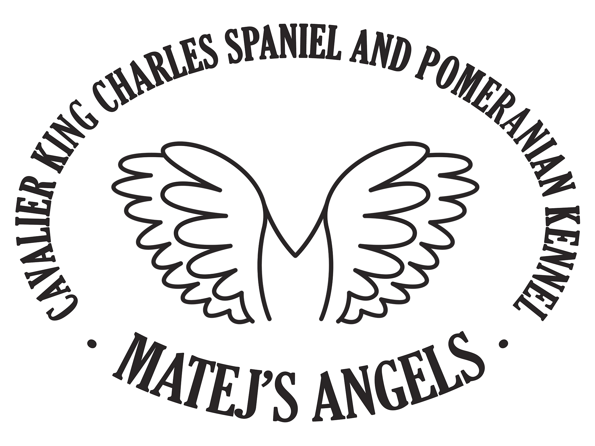 Matej's Angels