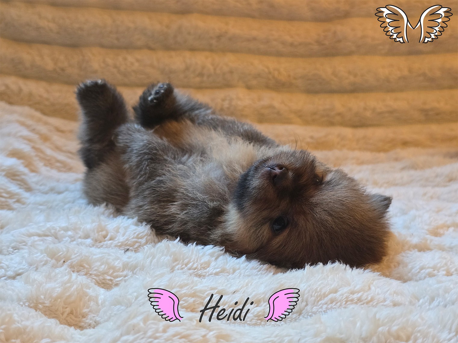 Heidi